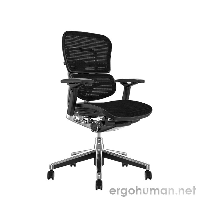 Ergohuman Elite Office Chairs no Head Rest