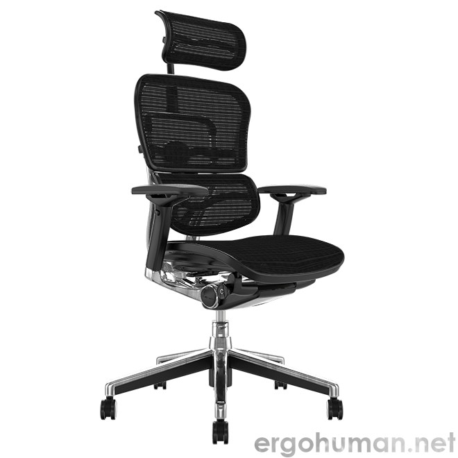 Ergohuman Elite Office Chairs